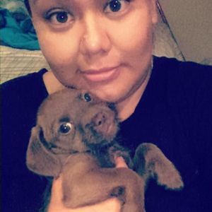 Meet your Posher, Delmi